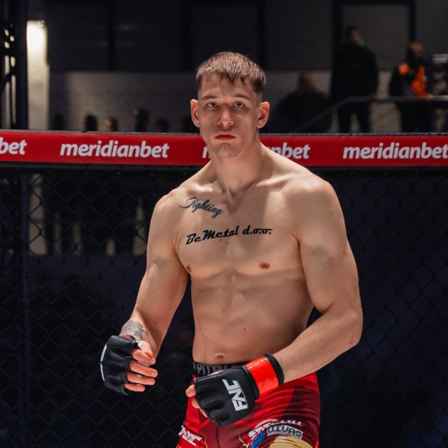 Ilija Brkan