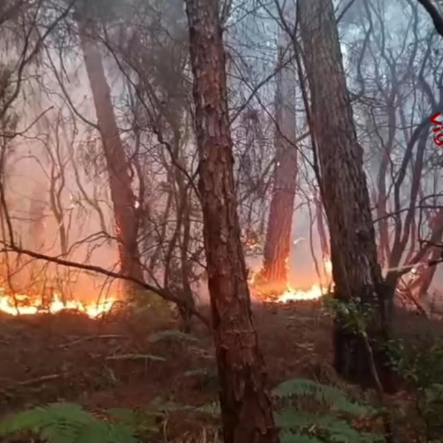 Požar u Toskani