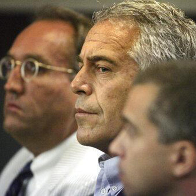 Jeffrey Epstein 2008.