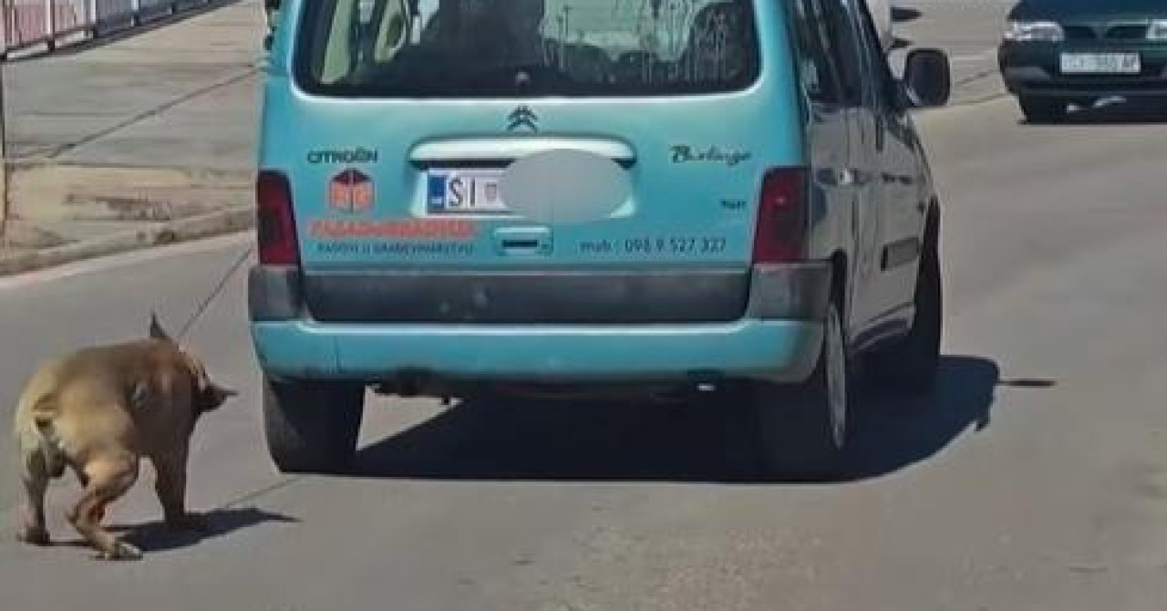 Muškarac (59) uhićen u Šibeniku zbog vučenja psa na lancu automobilom u pokretu — image 1