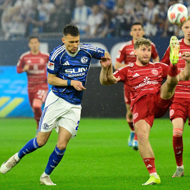 Dejan Ljubičić: Od Dinama do Bundeslige, junak Schalkea i oproštaj od strica — image 2