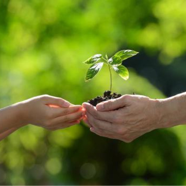 #PlantHealth4Life