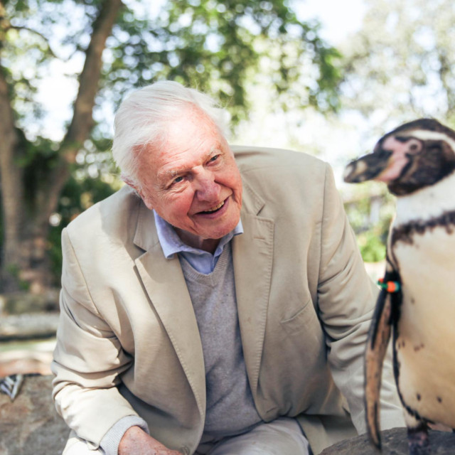 Sir David Attenborough