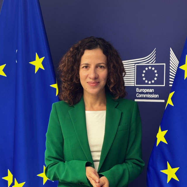 Roxana Mînzatu