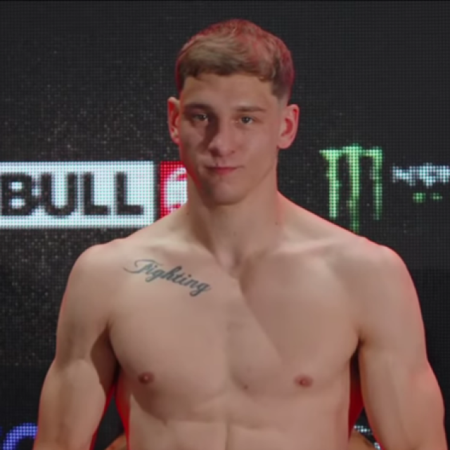 Ilija Brkan