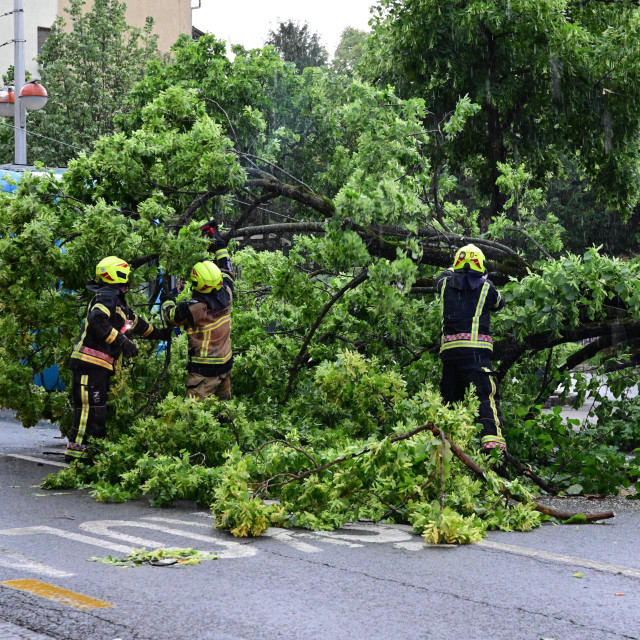 Nevrijeme s jakim vjetrom zahvatilo je grad i rušilo drveće
 