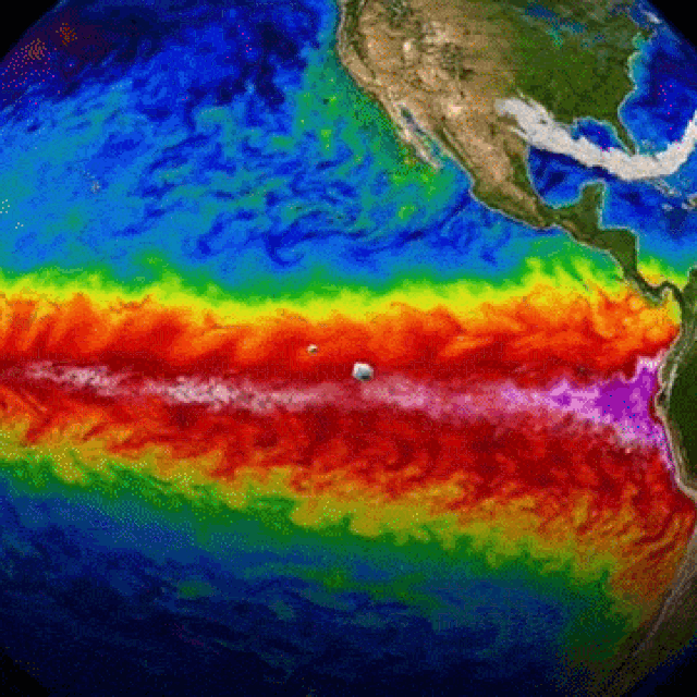 Grafički prikaz Super El Niña koji će se, prema predviđanjima meteoroloških modela, ovog ljeta formirati nad Pacifikom te imati kaskadni utjecaj na vrijeme u cijelom svijetu