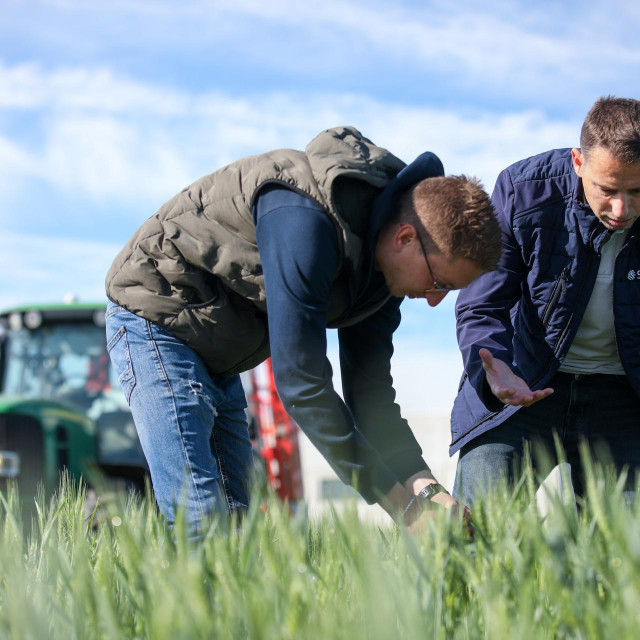 Pero Pušić, agronom tvrtke Gramex