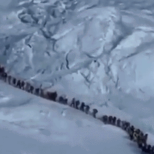 Gužva na Mount Everestu