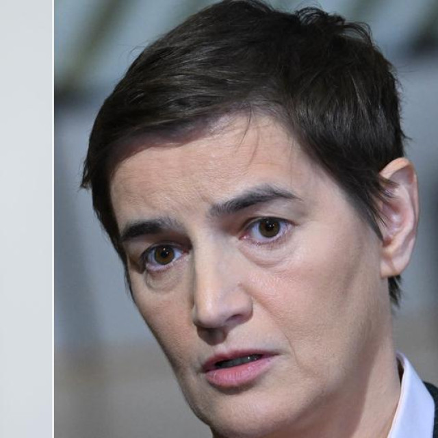 Ante Šušnjar; Ana Brnabić