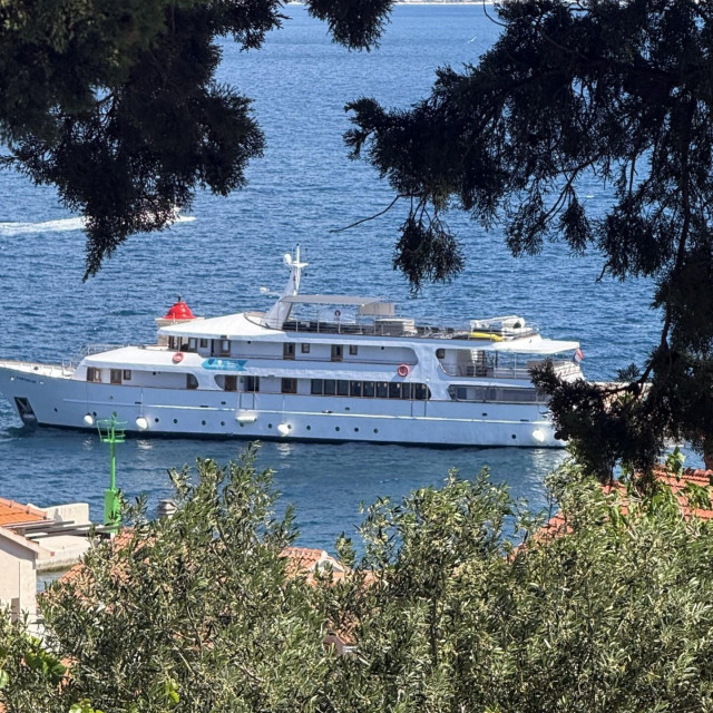 39004694
