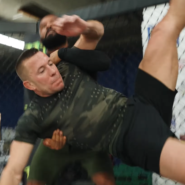 Demetrious Johnson i GSP