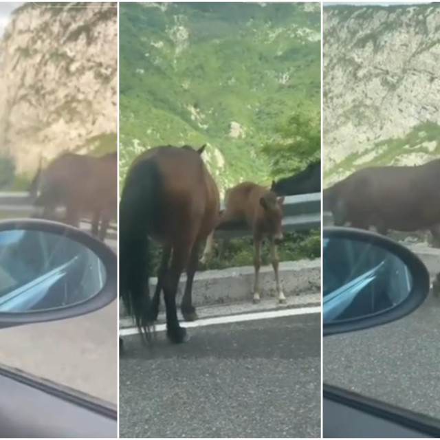 Čekali su pomoć...