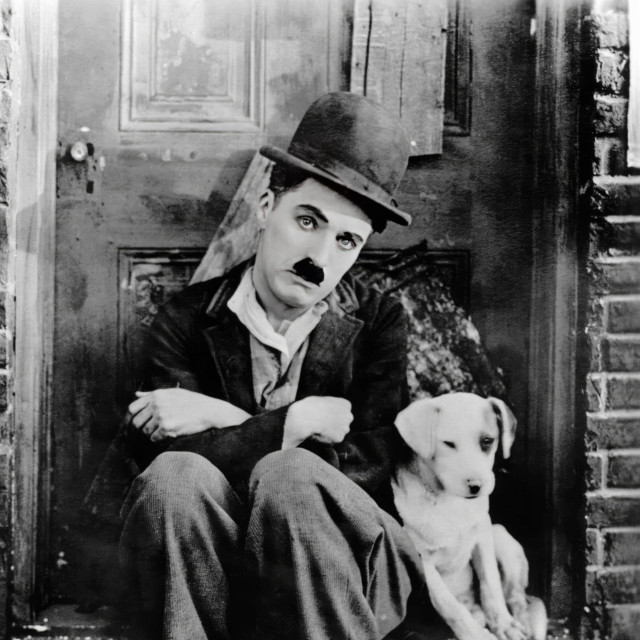 Charlie Chaplin

Skitnica u filmu Pasji život