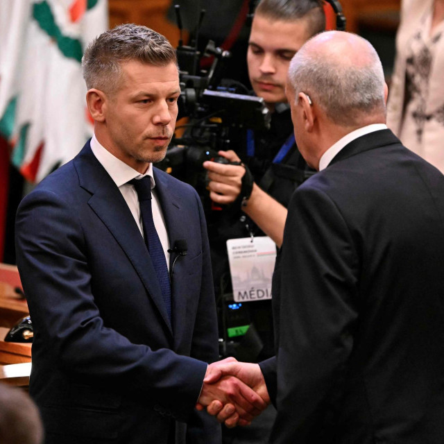Peter Magyar, Tamas Sulyok 