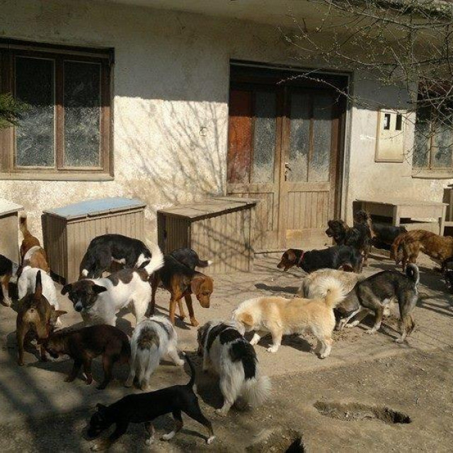 Prizor iz dvorišta u Dvoru na Uni