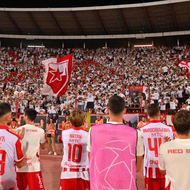 Navijači Crvene zvezde (ilustracija)