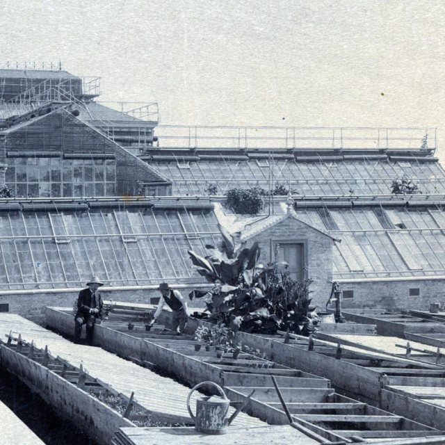 1890.