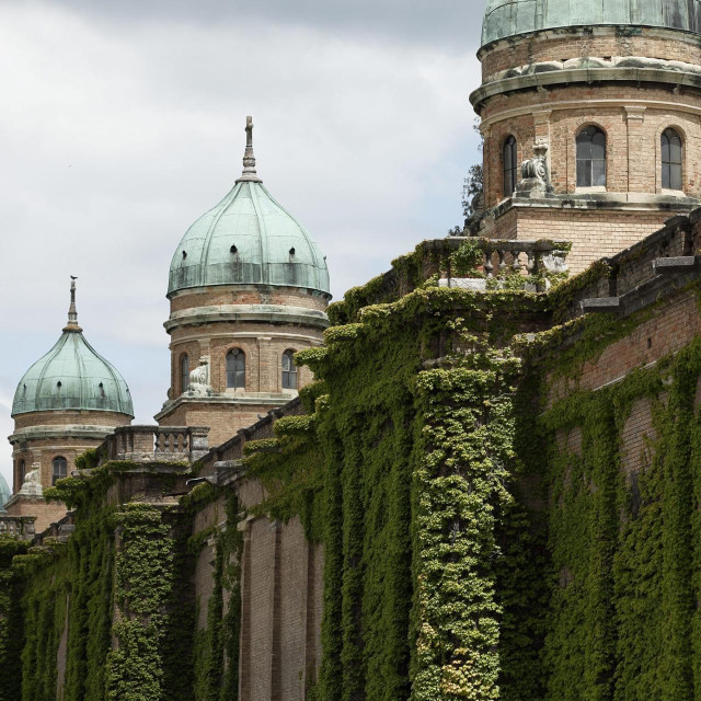 Mirogoj (arhiva)