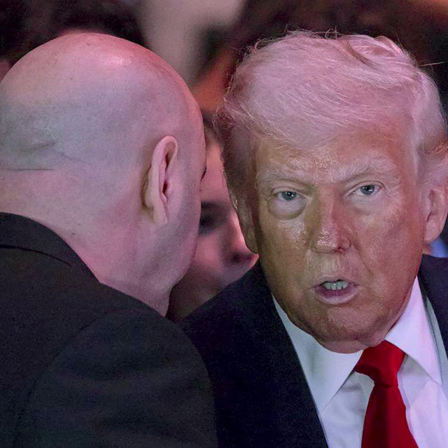 Dana White i Donald Trump 