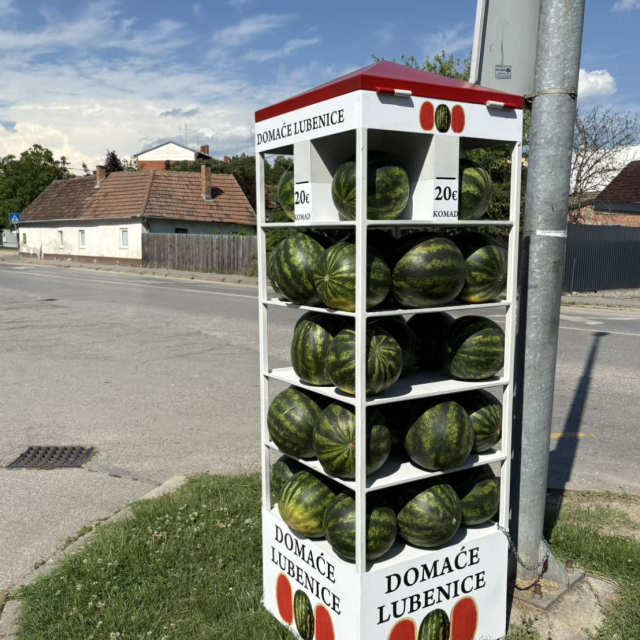 ”Lubenicomat” u Osijeku