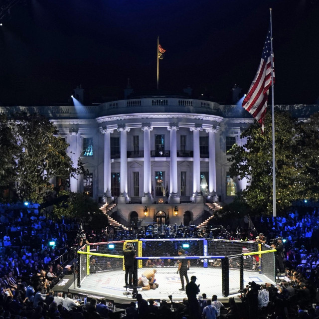 UFC Freedom 250