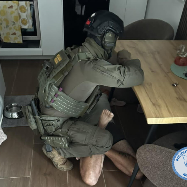 Policajci u akciji