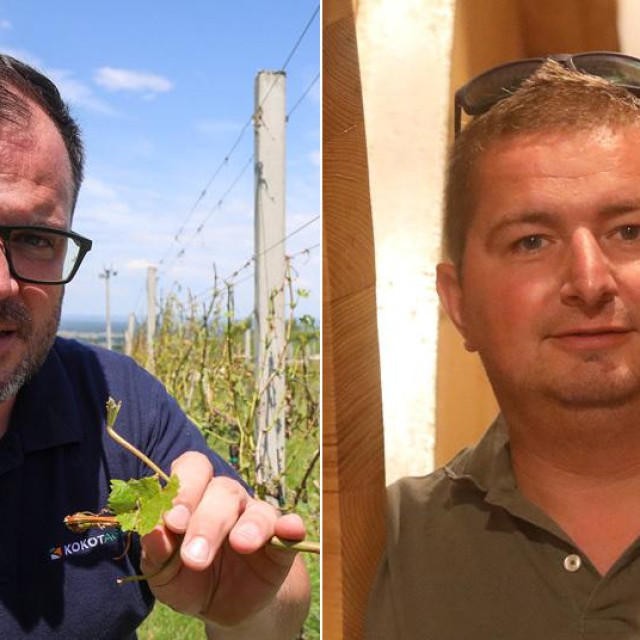 David Štampar; Marko Cmrečnjak