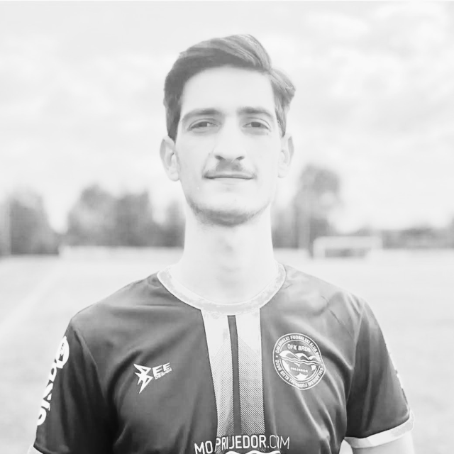 Anes Vojniković