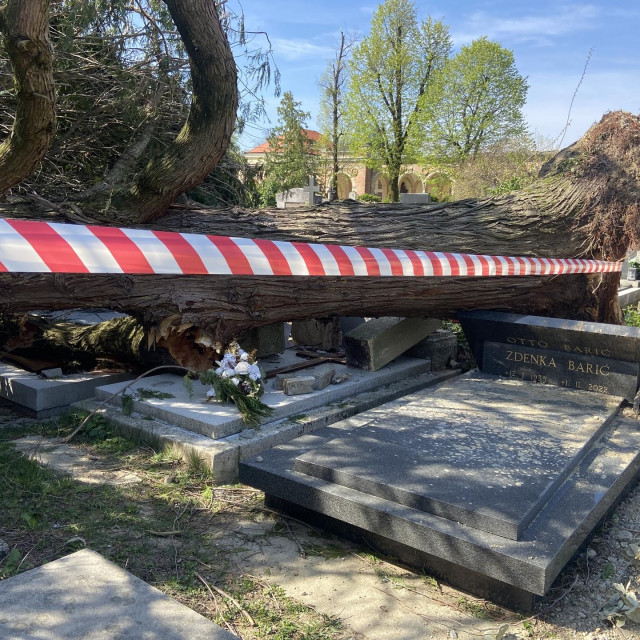 Groblje Mirogoj nakon nevremena u Zagrebu