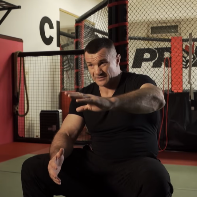 Mirko ”Cro Cop” Filipović