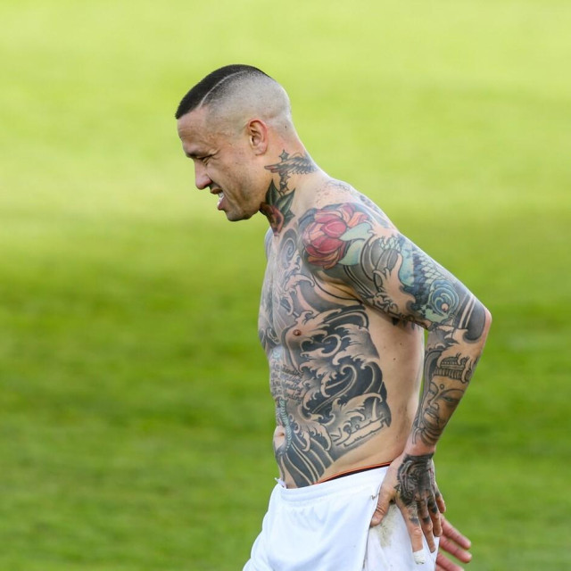 Radja Nainggolan (2026.)