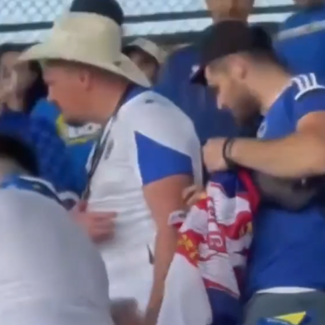 Navijač BiH oduzima drugom navijaču srpsku zastavu