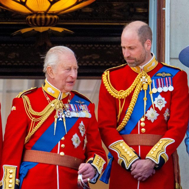 Kralj Charles III i princ William