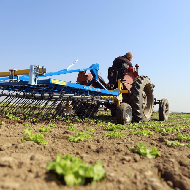 U Strategiji poljoprivrede do 2030. cilj je produktivnost rada u agraru povećati 60 posto