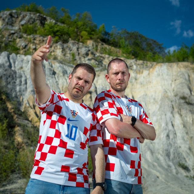 Steve Mešić Ludin