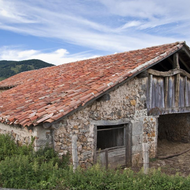 Ukrajinka spasila stoljetnu kamenu kuću i pretvorila je u dom koji oduzima dah