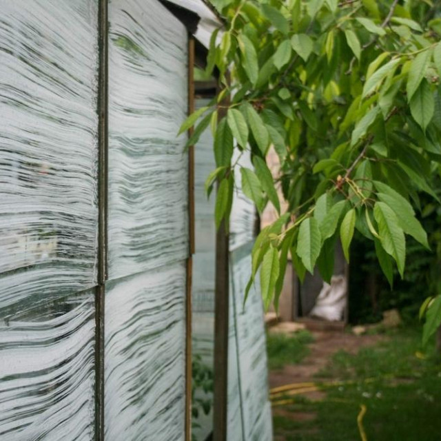 Metodu su počele primjenjivati i neke škole kako bi snizile temperaturu u učionicama