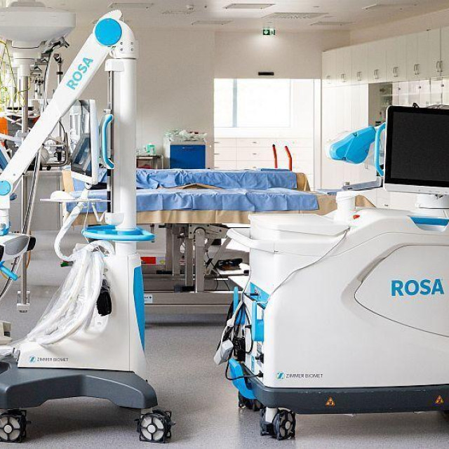 Rosa robot