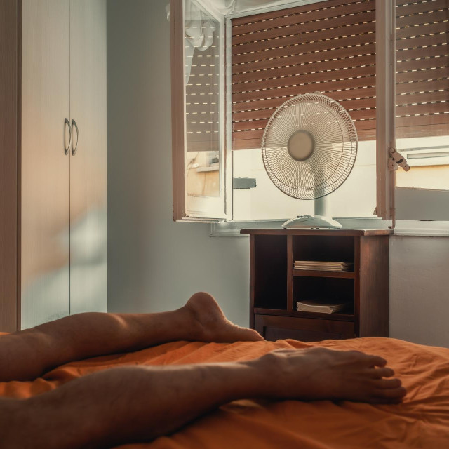 39263132