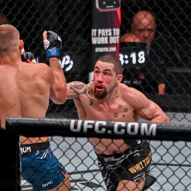 Robert Whittaker 