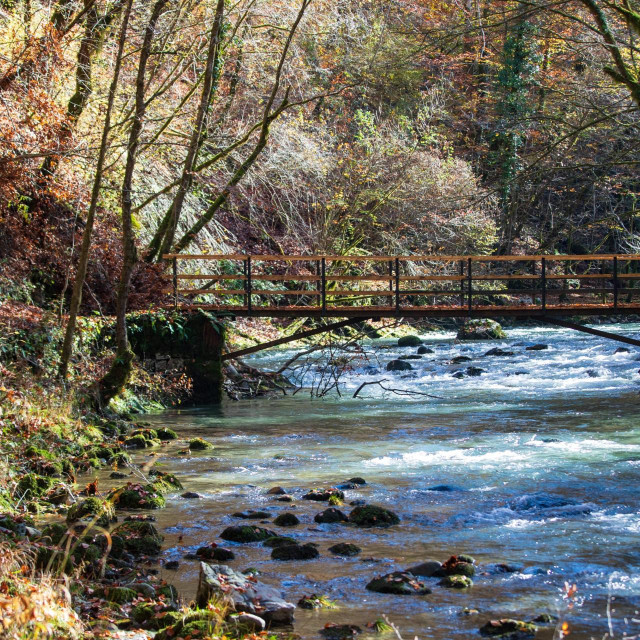 Priroda Zelenog vira