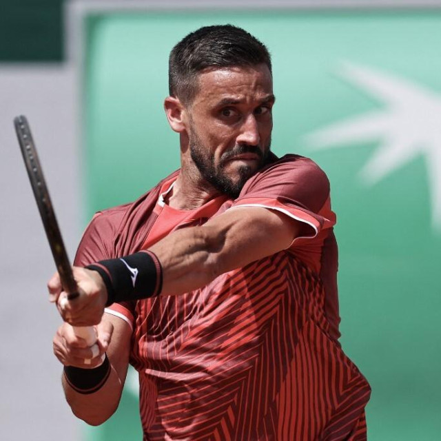 Damir Džumhur