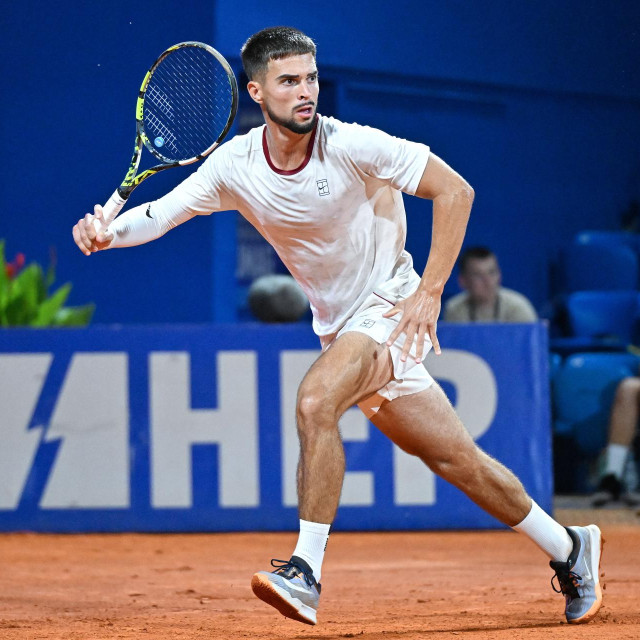 Dino Prižmić