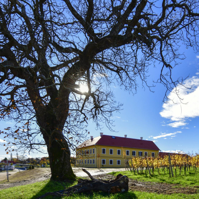 Hotel Terbotz