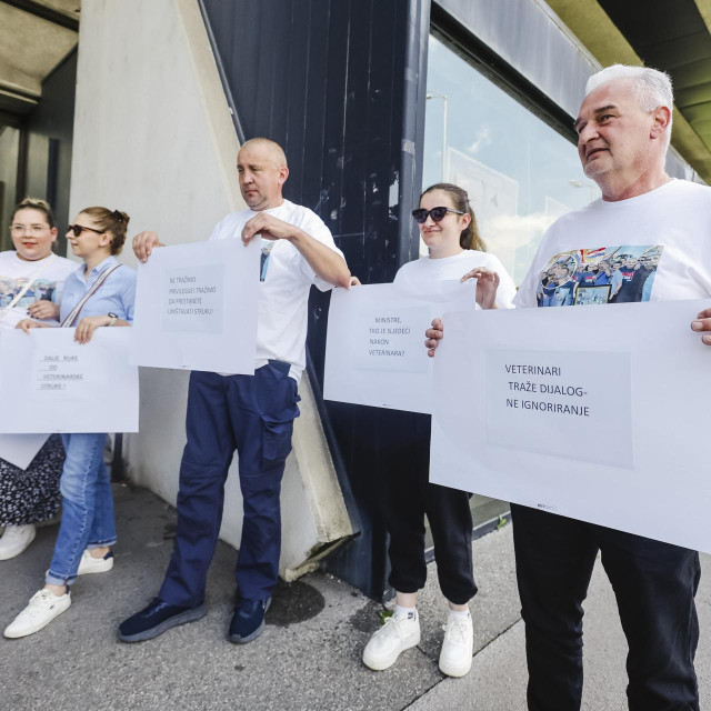 Prosvjed veterinara ispred ministarstva, održan u lipnju ove godine, ilustrativna fotografija