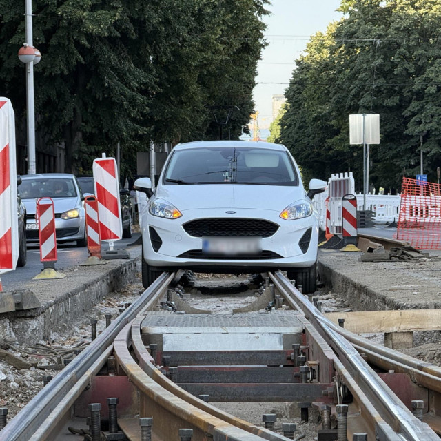 39305964
