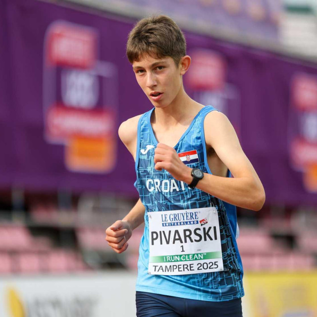 Patrik Pivarski