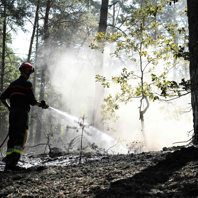 Prizor gašenja šume Fontainebleau