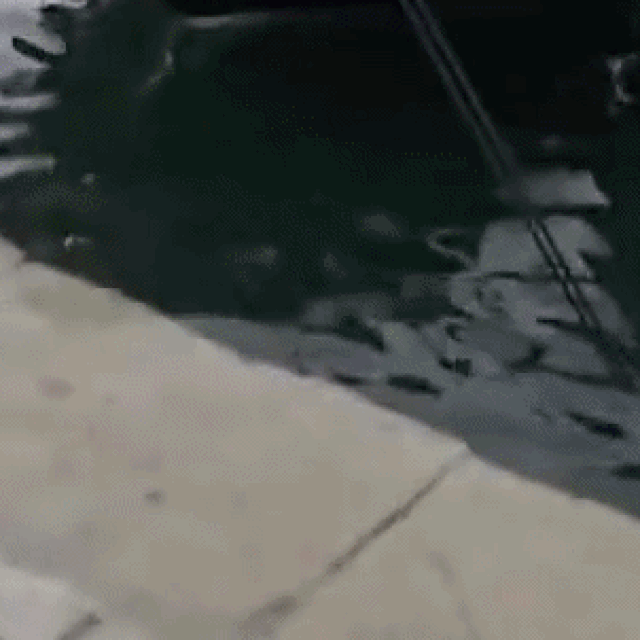 More je poplavilo rivu, a neki su to iskoristili za malo zabave